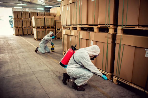 Flea Control Services in Bethany, OR