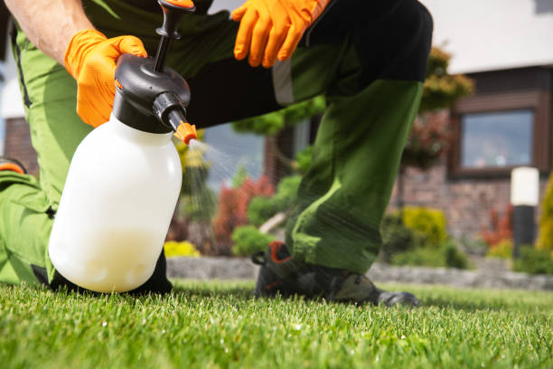 Best Cockroach Control Services  in Bethany, OR