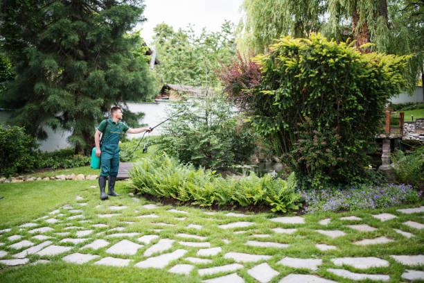 Best Local Pest Control Services  in Bethany, OR