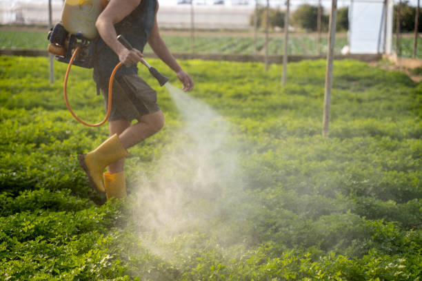 Best Mosquito Control Services  in Bethany, OR