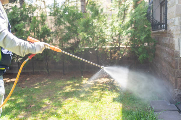 Best Flea Control Services  in Bethany, OR