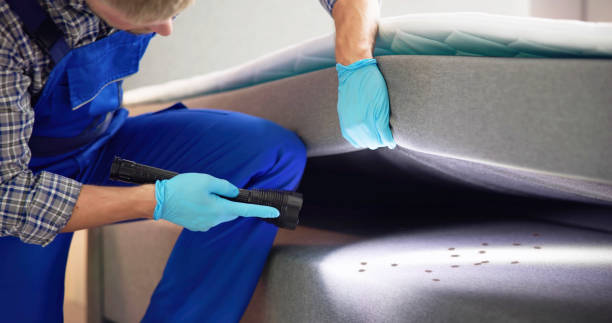 Best Pest Inspection Near Me  in Bethany, OR