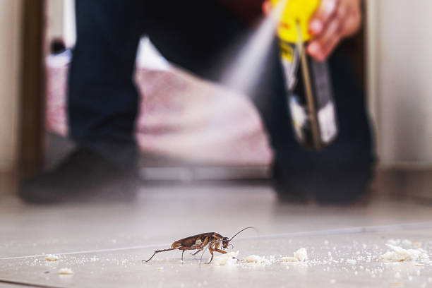 Best Best Pest Control Companies  in Bethany, OR